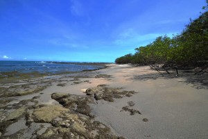 Playa Robalo